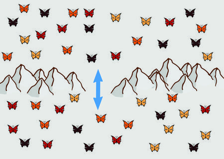 gene flow definition