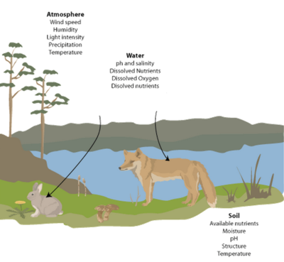 Ecology Habitat Abiotic Biotic Factors Pathwayz