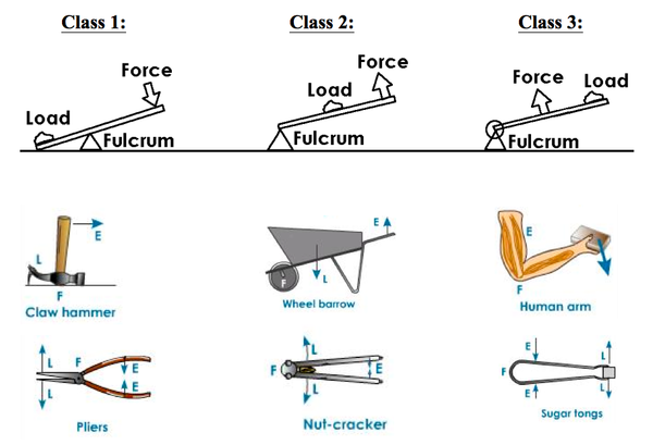 Resultado de imagen de classes of levers