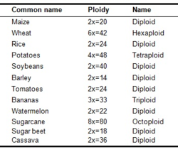 GENETICS / POLYPLOIDY - Pathwayz